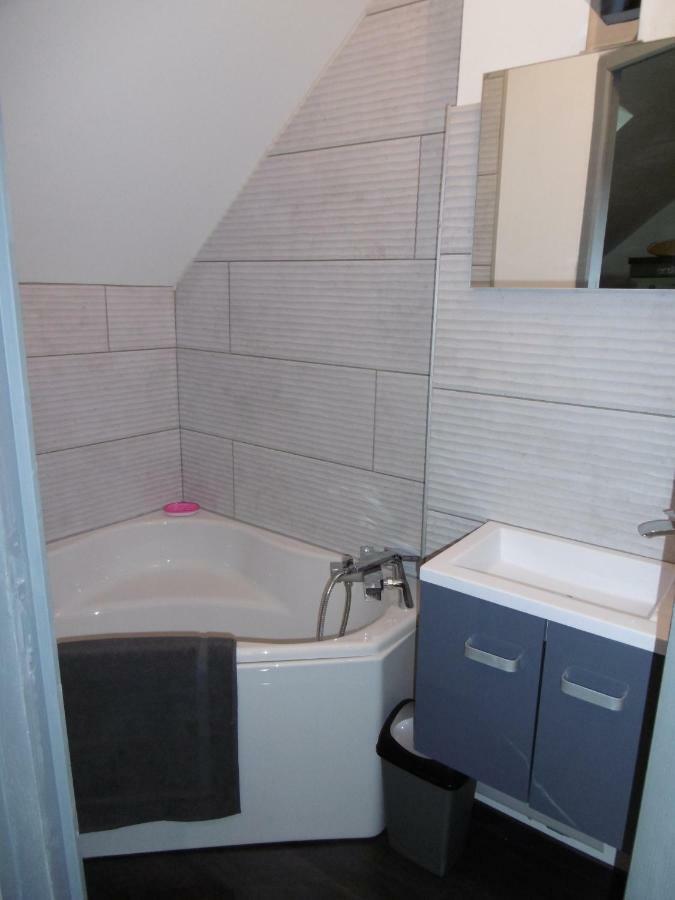 Le Petit Domaine Des Aubuis Apartment Chinon Ngoại thất bức ảnh